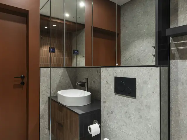 Banyo: lavabo, aynalı dolap ve duvara asılı klozet